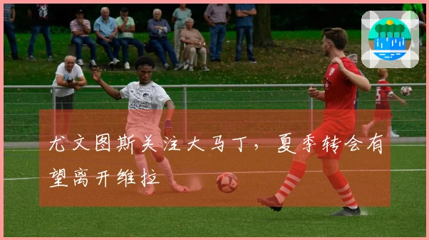 尤文图斯关注大马丁，夏季转会有望离开维拉