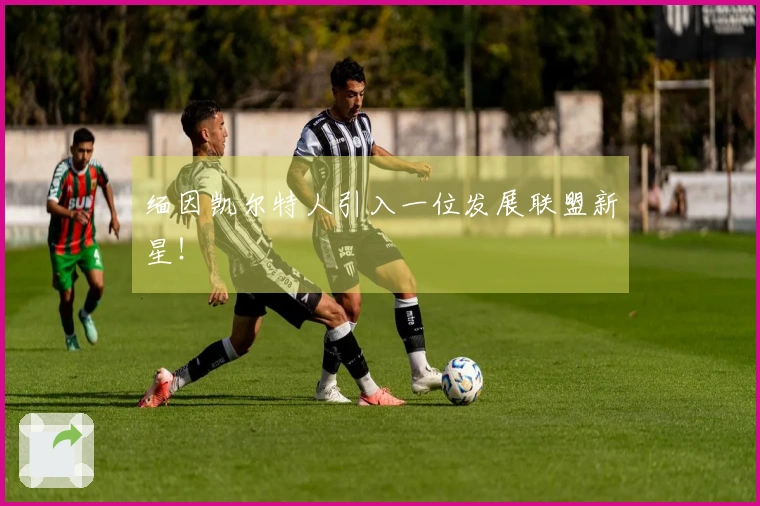 缅因凯尔特人引入一位发展联盟新星！