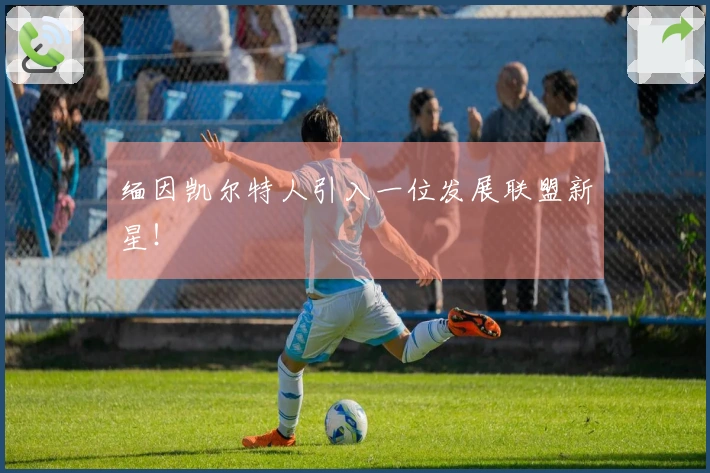 缅因凯尔特人引入一位发展联盟新星！